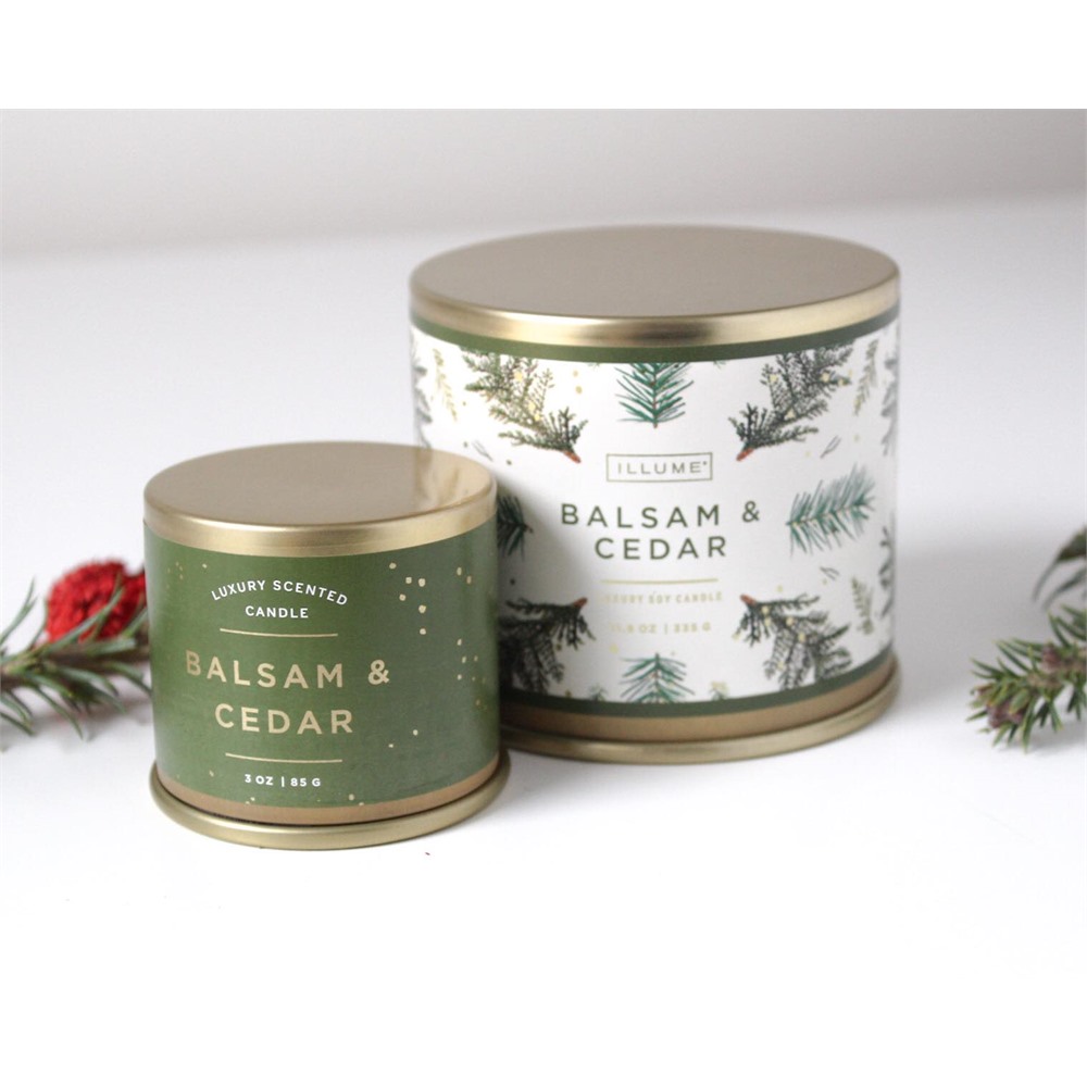 Balsam & Cedar in Large Textured Metal Container